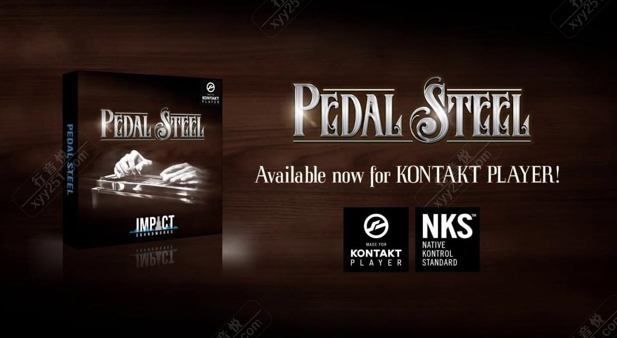 IS Pedal Steel 虚拟踏板 钢弦吉他 民谣 影视配乐 Kontakt