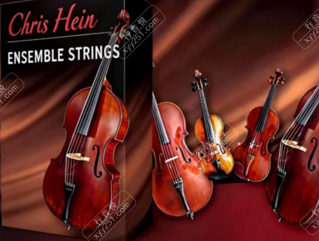 图片[1]-Best Service Chris Hein Stings 如歌弦乐 流行弦乐必备-行音悦 - XYY