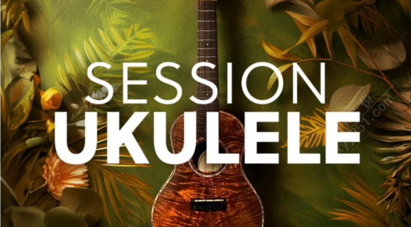 NI Session Ukulele 尤克里里 & 恰朗戈编曲音源 Kontakt-行音悦 - XYY