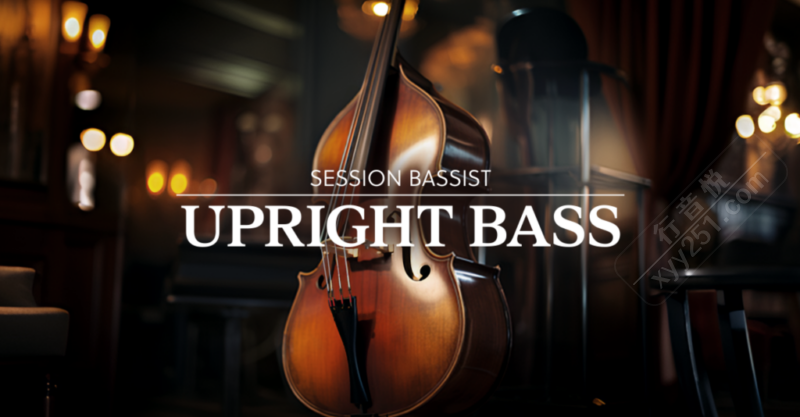 Session Bassist Upright Bass 原声立式低音提琴贝斯 Kontakt-行音悦 - XYY
