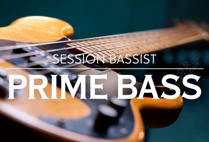 Session Bassist Prime Bass全能电贝斯音源 Kontakt