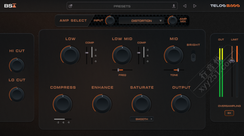 Black Salt Audio Telos Bass AI贝斯塑形一体化插件 WIN/MAC-行音悦 - XYY