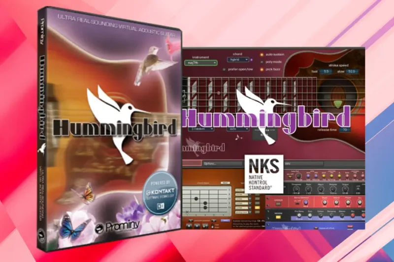 蜂鸟木吉他音源 Prominy Hummingbird 超逼真木吉他 Kontakt-行音悦 - XYY