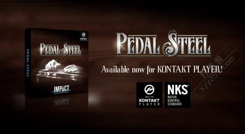 IS Pedal Steel 虚拟踏板 钢弦吉他 民谣 影视配乐 Kontakt-行音悦 - XYY