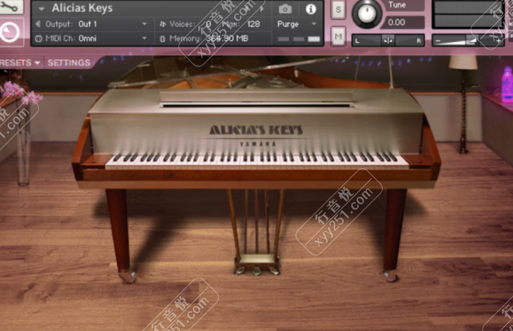 图片[1]-Alicias Keys 爱丽丝钢琴 Kontakt 流行必备-行音悦 - XYY