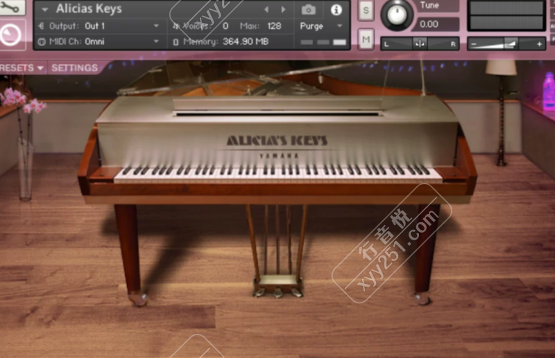 Alicias Keys 爱丽丝钢琴 Kontakt 流行必备-行音悦 - XYY