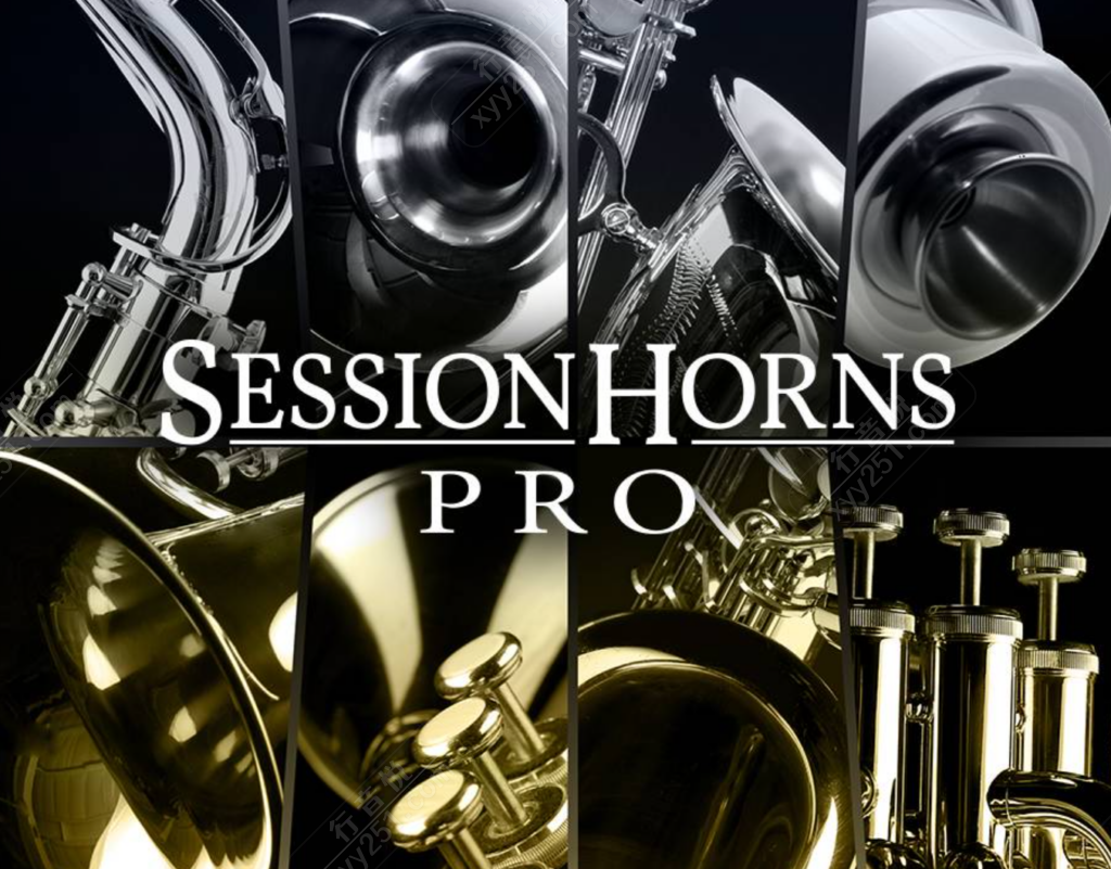 图片[1]-Session Horns Pro 铜管萨克斯风 爵士必备神器！-行音悦 - XYY