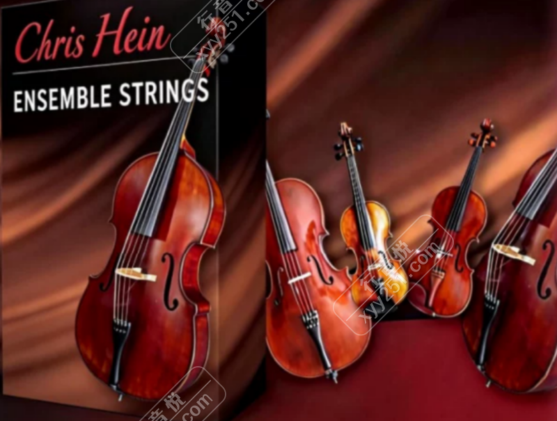 Best Service Chris Hein Stings 如歌弦乐 流行弦乐必备-行音悦 - XYY